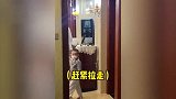 小伙嗓子不舒服告诉老妈，竟被连夜“赶出”家门：还回来干啥！锅也带走