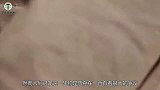 龙真的存在吗？昆仑山洞穴发现“龙宝宝”，专家看后却笑了