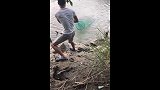 萌狮大赏 这一网下去，抓了个乌龟上来，这波不亏！