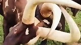 这是不是就是勾心斗角