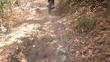山路骑车发生追尾，同伴支撑不住摔下楼梯