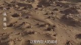 我是谁：考古教每次进沙漠前，都会无故发烧，连医生都找不到原因
