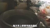 陕西小吃生意火爆全靠它，每天50斤，不是牛肉汤，也非羊汤