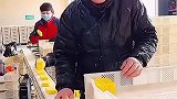 一顿操作猛如虎，这手速太快了