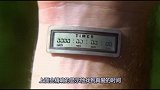 未来世界，年满14岁就会分配到一款手表，戴上它就能匹配到真爱