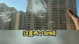 女子发现窗外动物标本，但愿鸟没事