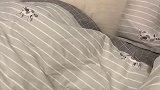 空调虽好 温度不要开太低萨摩耶