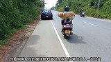 狗狗站在后座上，铲屎官开着摩托车直接上了马路