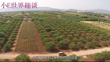 中国最“丢脸”的沙漠，60年缩水600多万亩，如今就要消失！