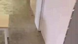 当代大学生进宿舍也这么有仪式感