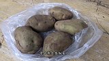 保存土豆只需用几个方法，不发芽不变质，放多久都新鲜