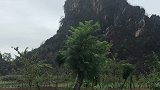 晨起听鸟音，暮归夕阳间