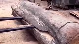 这么大的木头, 手艺人做的东西你绝对想象不到