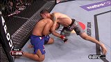 UFC-14年-UFC168自由格斗：韦德曼vs努诺兹-专题