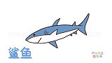 动物简笔画大全，画最简单的鲨鱼简笔画