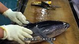 这是什么鱼？鱼鳞竟然比“盔甲”还坚硬，想吃只能用锤子敲鱼鳞