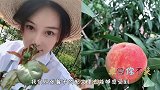 暗暗较劲？张馨予晒自家果园桃子丰收，范冰冰戴桃子发卡甜如少女