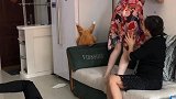 试一下老公，结果婆婆更暖心