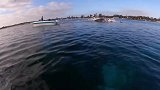 澳大利亚西海岸，一头鲸死亡后的尸体，吸引了众多鱼类前来取食