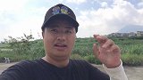 连日的暴雨鱼塘涨满了水，村里大爷提网来搬鱼有收获了