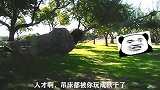 人才啊，吊床都被你玩成秋千了，还有什么是兄弟不敢玩的？