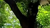小伙外出找工作，为了省钱晚上直接住树上