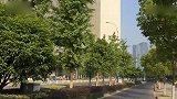 【浙江】小伙去相亲聊得都挺好 “座驾”一亮相就惨遭拉黑？