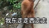 等下走哪里去耍也