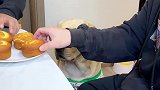 这狗子真是让人防不胜防