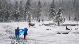 黑龙江雪乡等景区迎入秋首场降雪 游客：被我们这些有福人赶上了