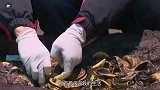 古墓出土姜子牙“天书”，内容一直不敢公布，专家：此书太神了