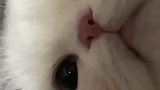 除了我你还喜欢谁