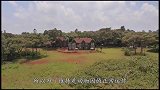 世界上“最野性”的酒店，洗澡是棕熊陪伴，和狮子零距离约会！