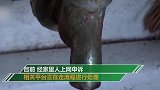 老人一辈子攒了10万元 孙子借上网课打游戏一个月全花光