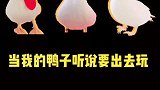 等一等我的可爱的小鸭子