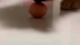 狗子的疑惑行为之自己动手，丰衣足食