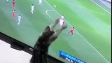 猫：快将球传给我，我来接球！