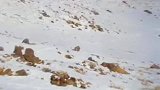 宝藏纯音乐蒙古人，细细品味，这是一段触动灵魂的旋律