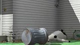 倒霉熊：贝肯熊为了把报纸送到，那根骨头去逗狗狗了