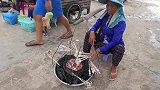 聪明得阿姨把烧烤玩出了新境界，章鱼还是炭烤的好吃