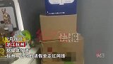 95后女生休年假看奥运，谁知公司大方奖励让人慕：公司还缺人吗