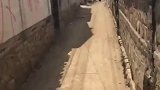 曾经那些对我爱答不理的女人，你们后悔去吧