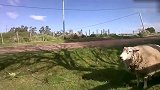 天才!梅西都得靠边站 真·GOAT现身