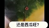 布宝差点可爱到飞起来了呀！