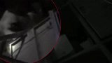 搜救犬因多次进入现场搜救而负伤，市民闻讯送来狗粮！