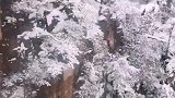 银装素裹的张家界太美了