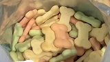 主人看剧误吃半袋宠物饼干，狗狗在一旁默默观察
