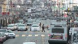 为什么马蹄要钉铁掌？看起来很残忍，如果不打的话后果更严重！