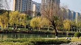如愿四川成都水岸东里沙河边