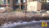 辣条大甩卖，学生抽中再来一箱，不料最后还倒贴钱